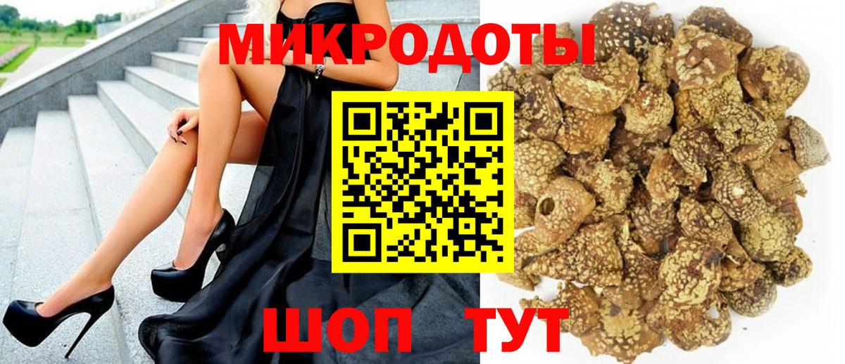 Псилоцибиновые грибы мицелий Ярославль