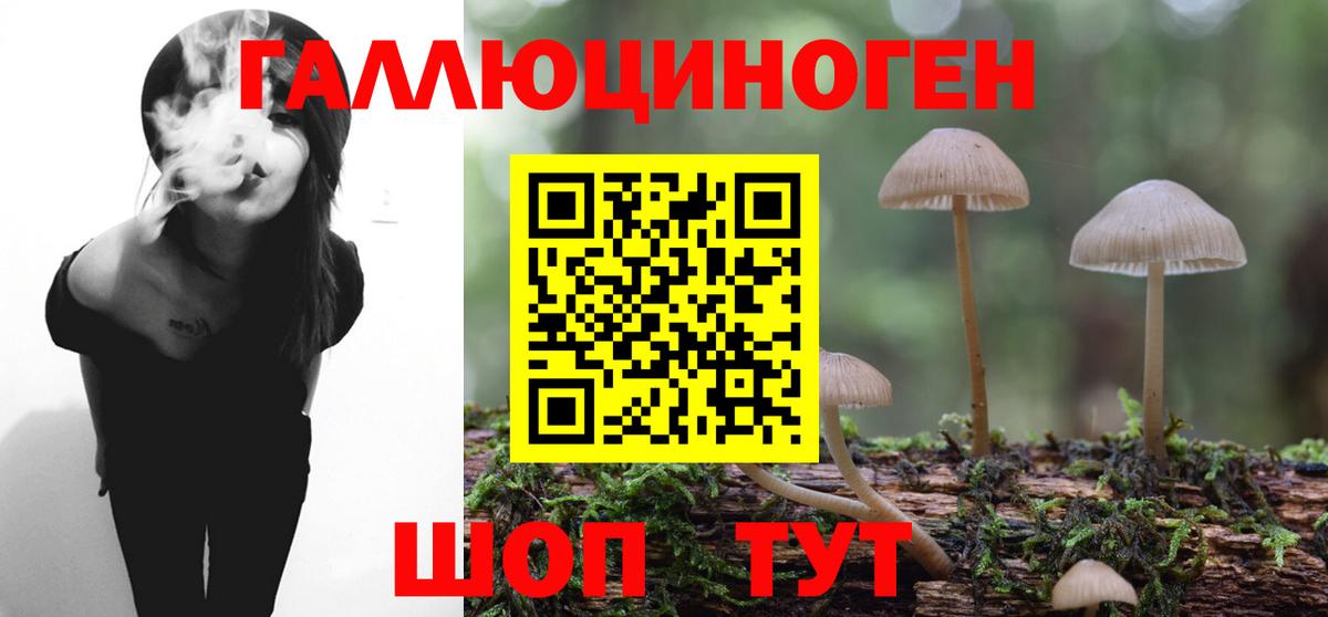 Псилоцибиновые грибы Psilocybe  Вход с VPN  Ярославль 